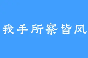 我手所察皆风