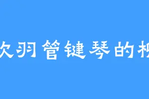 喜欢羽管键琴的柳晗