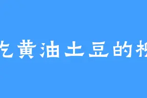 爱吃黄油土豆的柳老