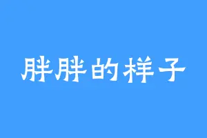 胖胖的样子
