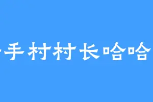 新手村村长哈哈哈