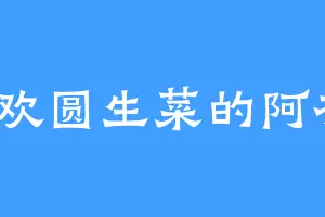 喜欢圆生菜的阿布徳