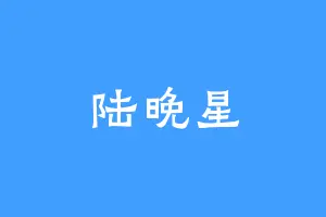 陆晚星