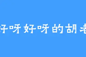 好呀好呀的胡老