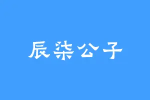 辰柒公子