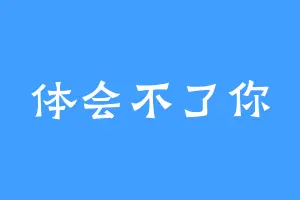 体会不了你