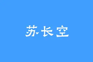 苏长空