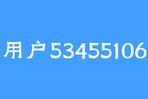 用户53455106