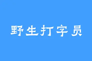 野生打字员