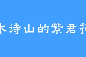木诗山的紫君花
