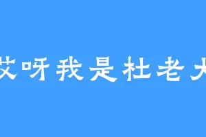 哎呀我是杜老大