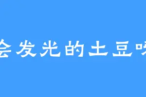 会发光的土豆呀