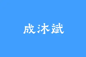 成沐斌
