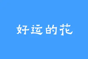 好运的花