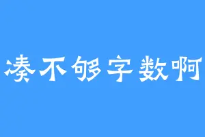 凑不够字数啊