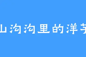 山沟沟里的洋芋
