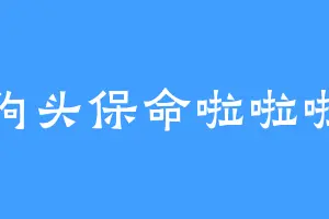 狗头保命啦啦啦
