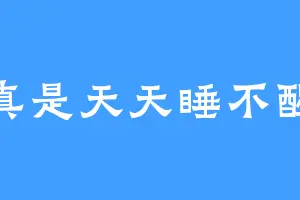 真是天天睡不醒