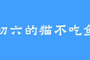初六的猫不吃鱼