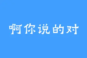 啊你说的对