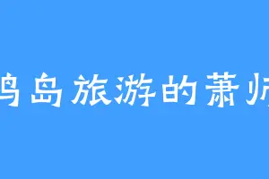 放鸡岛旅游的萧师兄