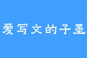 爱写文的子墨