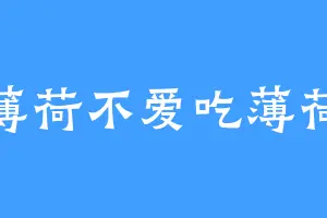 薄荷不爱吃薄荷