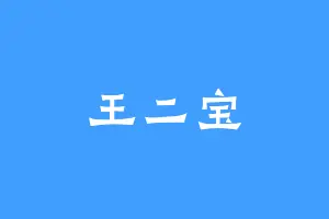 王二宝