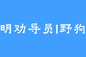 文明劝导员I野狗版