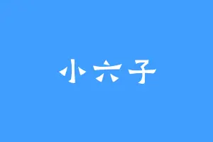 小六子