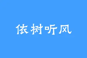 依树听风