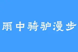 雨中骑驴漫步
