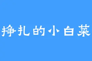 挣扎的小白菜