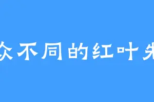 与众不同的红叶先生