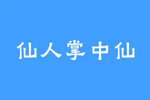 仙人掌中仙