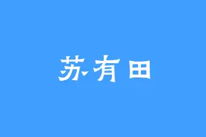 苏有田