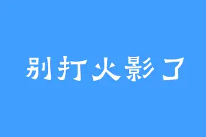 别打火影了