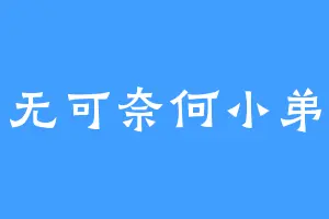 无可奈何小弟