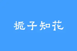 栀子知花