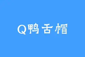 Q鸭舌帽