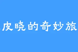 皮皮晓的奇妙旅程