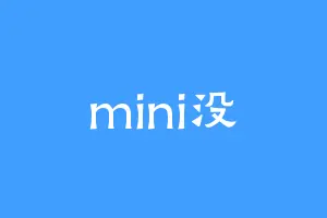 mini没