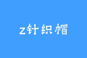 z针织帽