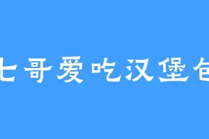 七哥爱吃汉堡包