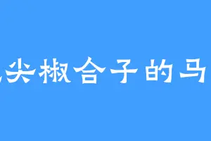 爱吃尖椒合子的马冷军