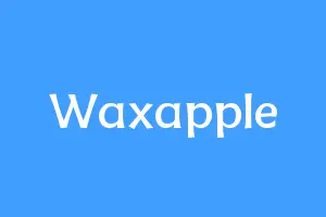 Waxapple