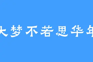 大梦不若思华年