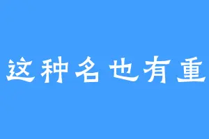 作者这种名也有重复吗