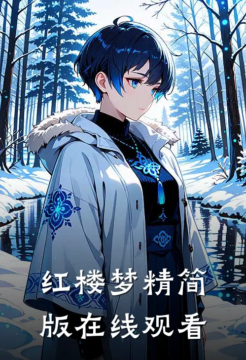 红楼梦精简版在线观看