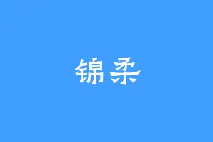 锦柔